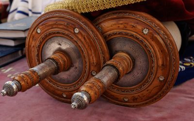 STH prisas för satsning på judiska studier