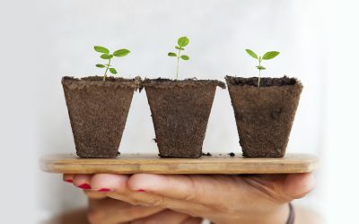 Seminariedagar med Dynamic Church Planting Initiative